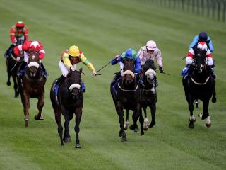 Paul likes two horses at Nottingham today
